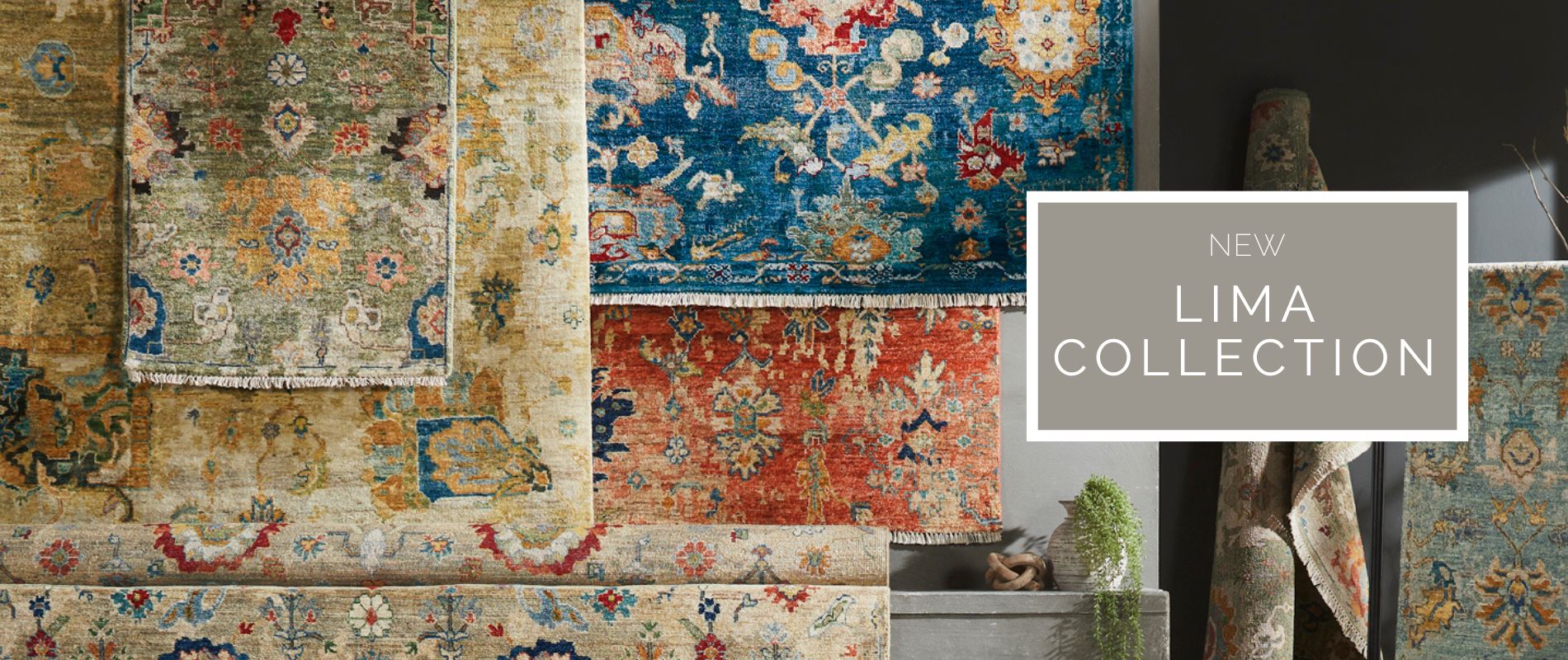 https://allrugs.com/banner/home_web_122.jpg
